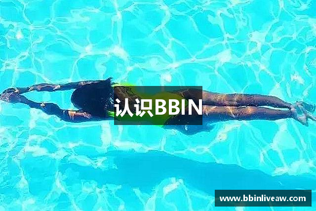 认识BBIN